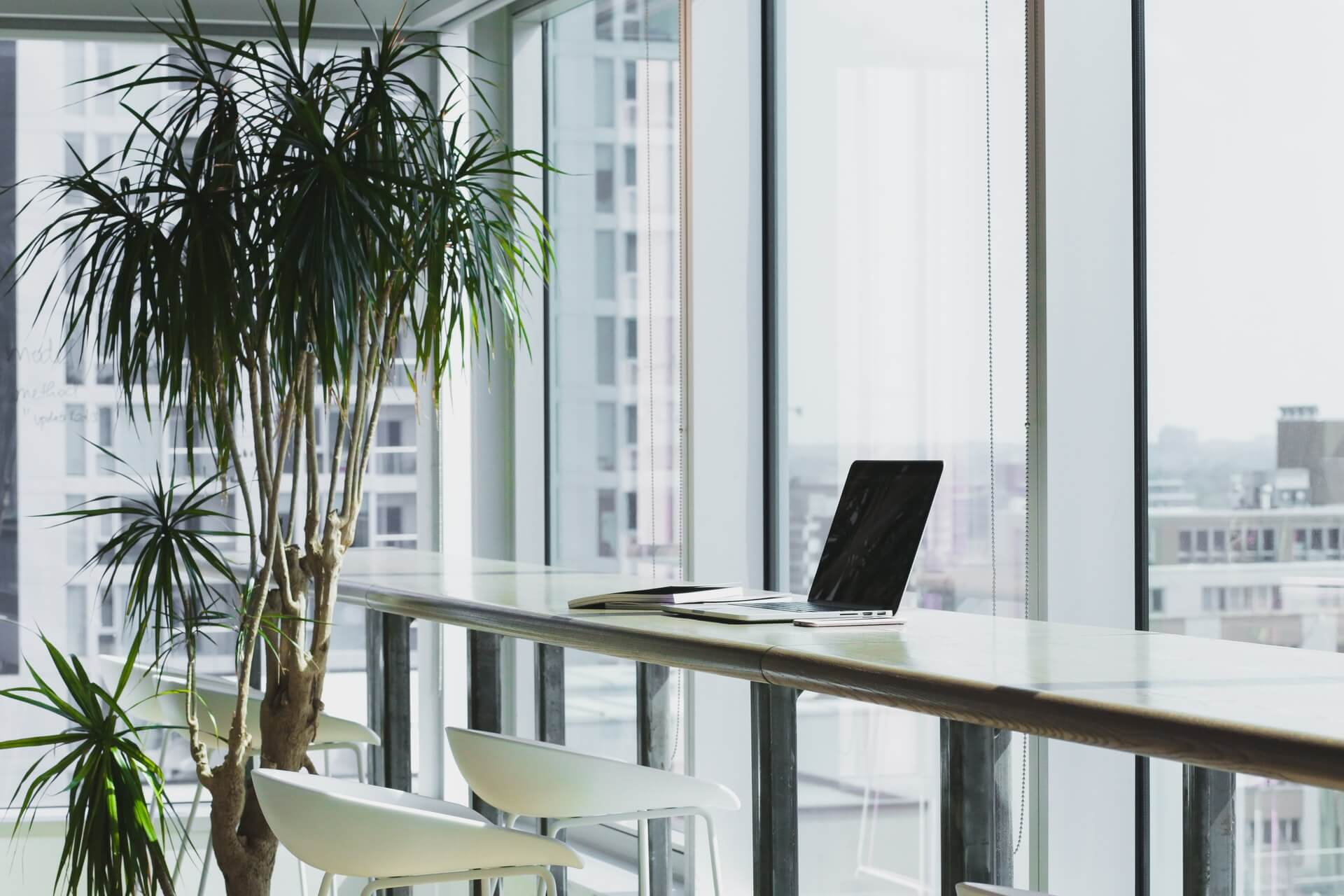 tipos de oficina flexible coworking barcelona mac sobre una mesa con vistas cristalera y una palmera