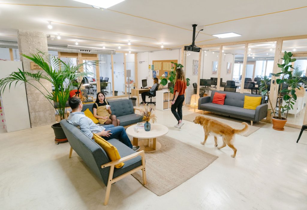2021-coworking-barcelona-open-space-networking-startups-mob-caterina-5-1635375642tAVc6