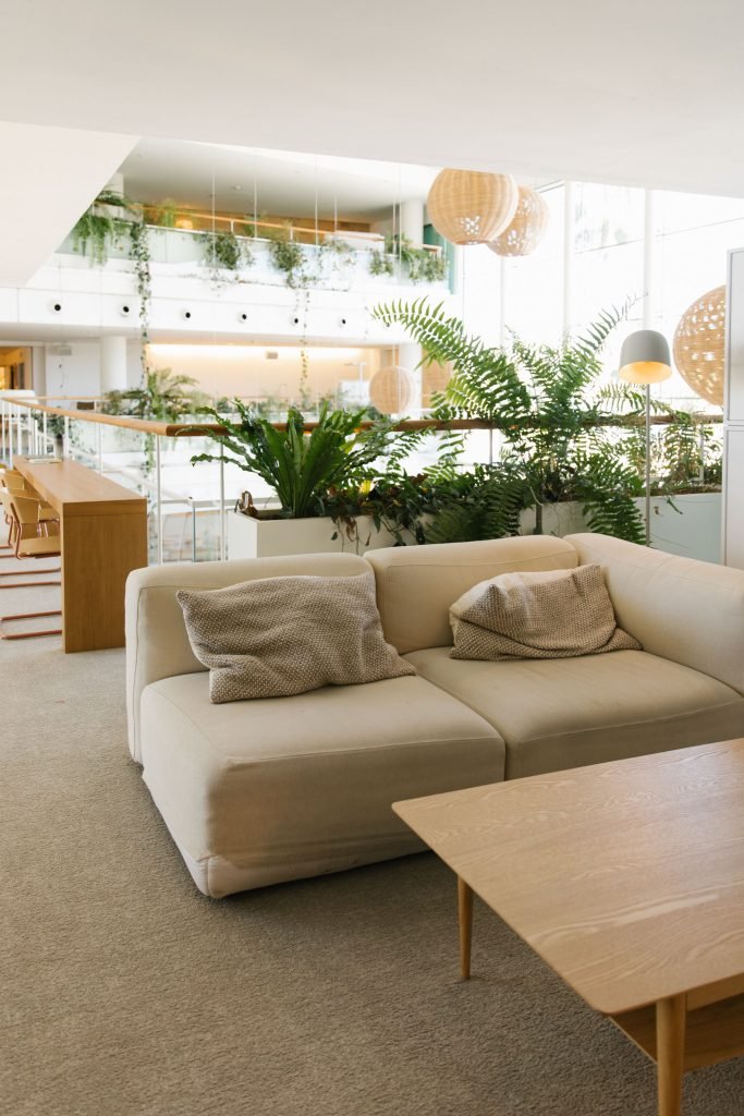 Zona de descanso con sofás, abundante luz natural y plantas integradas siguiendo los principios del diseño biofílico en el workspace.