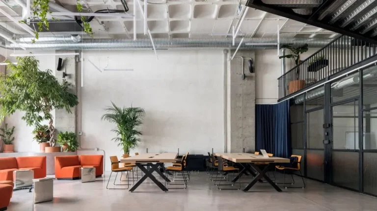 Amplio espacio de trabajo en Area Coworking Arganzuela con mesas de madera y plantas naturales.