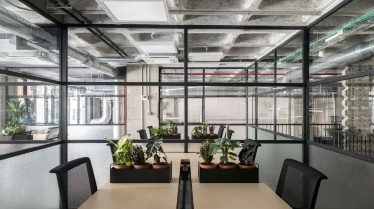 Despachos con paredes de cristal y luz natural en Area Coworking, ideal para agencias creativas.